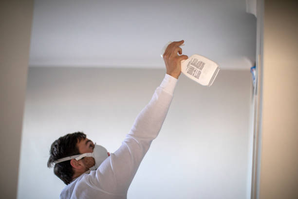 Best Mold Remediation  in Thonotosassa, FL