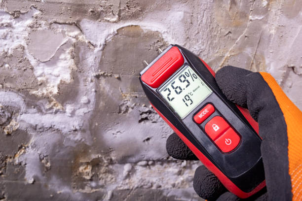 Thonotosassa, FL Mold Removal Company