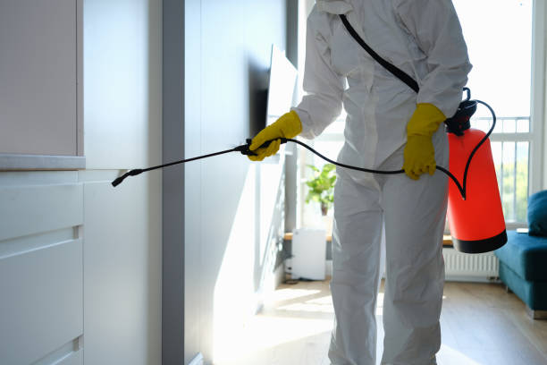 Best Professional Mold Removal  in Thonotosassa, FL